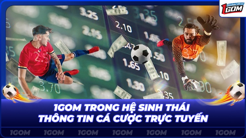 1Gom trong hệ sinh thái thông tin cá cược trực tuyến