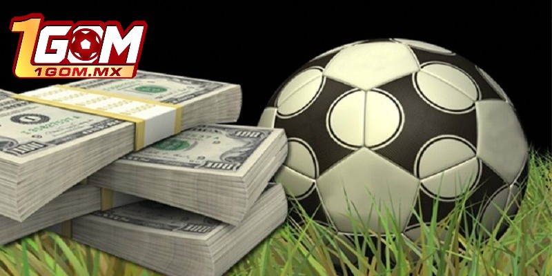 Khái quát nhanh về Livescore