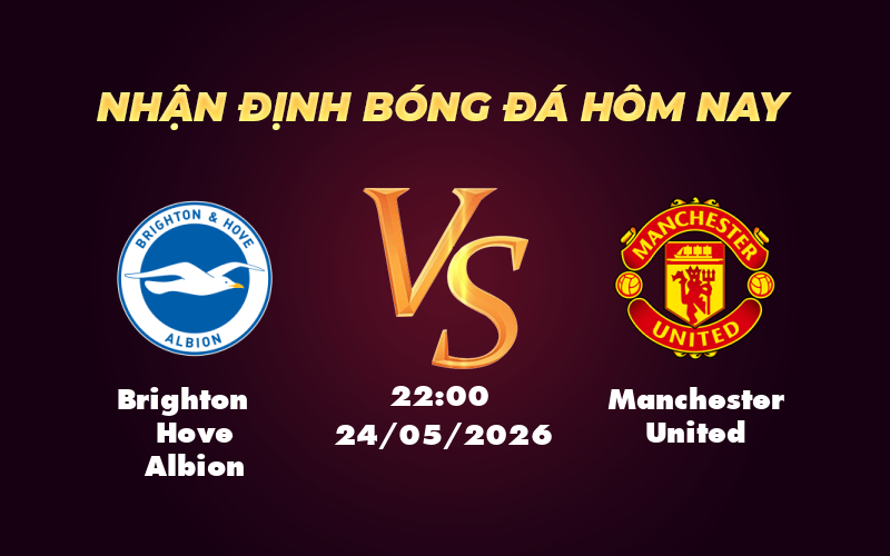 brighton hove albion manchester united 24 05 ngoai hang anh